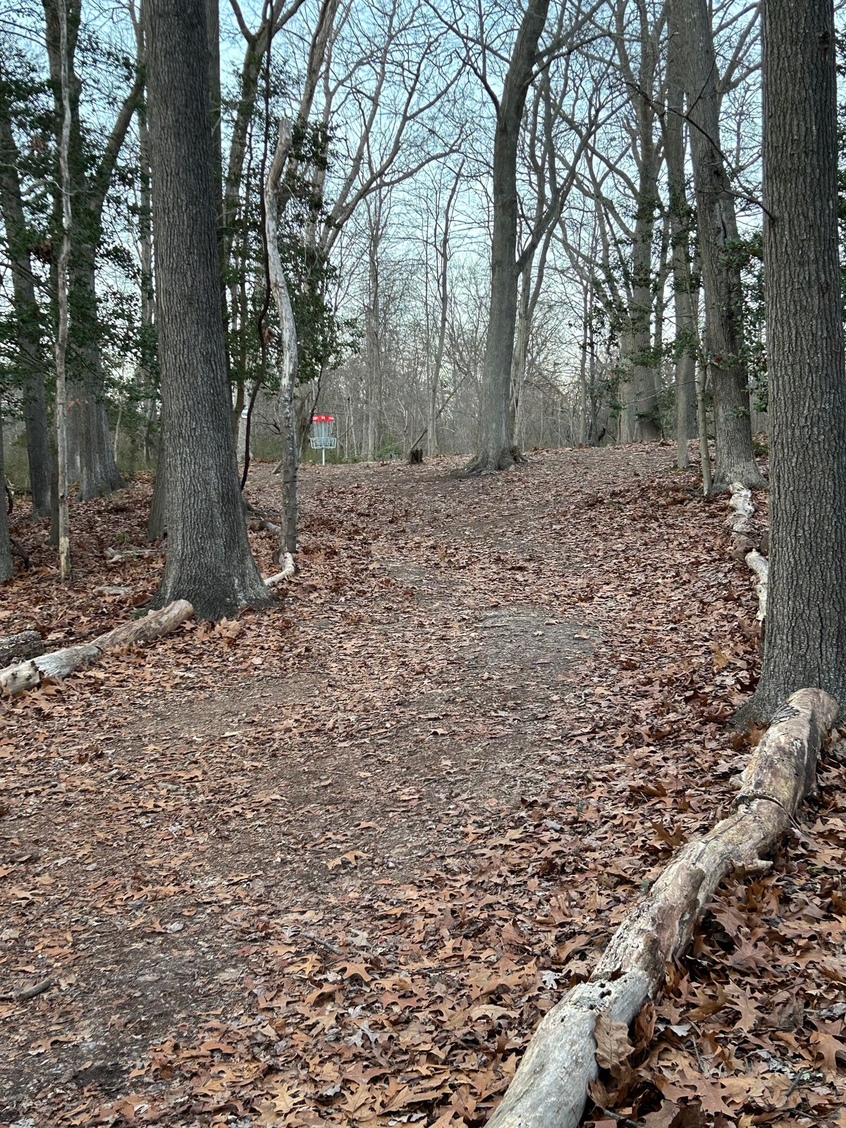 Uphill, backhand, righty hyzer shot on 14