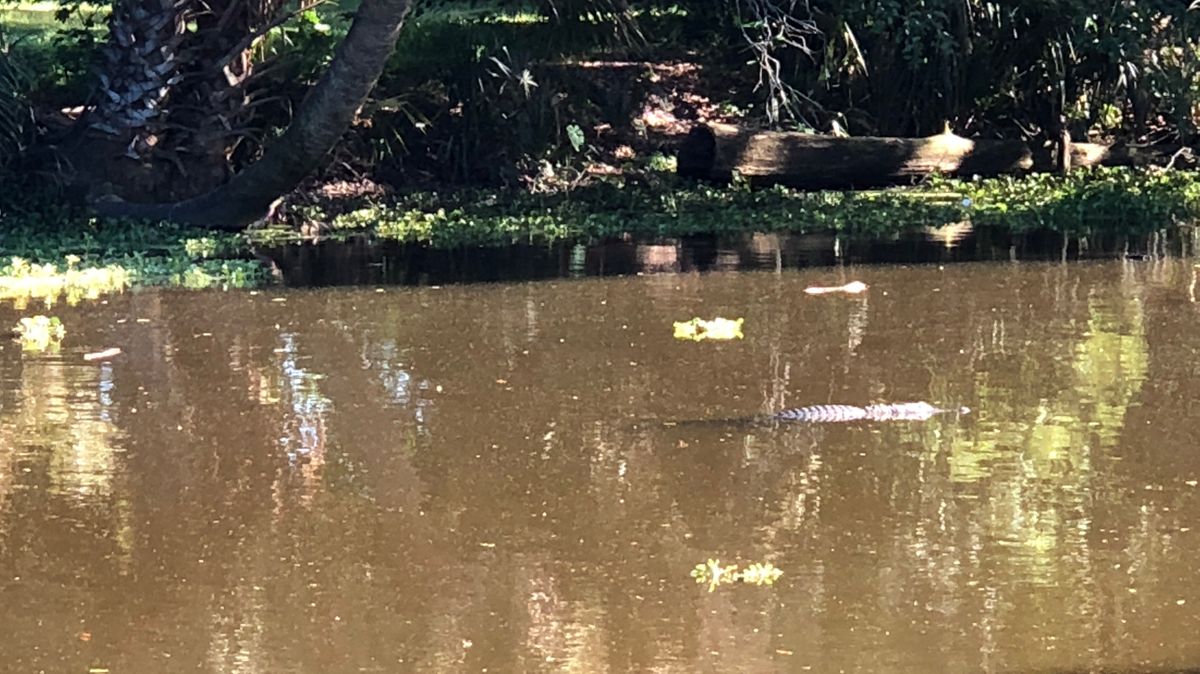 Hole 13