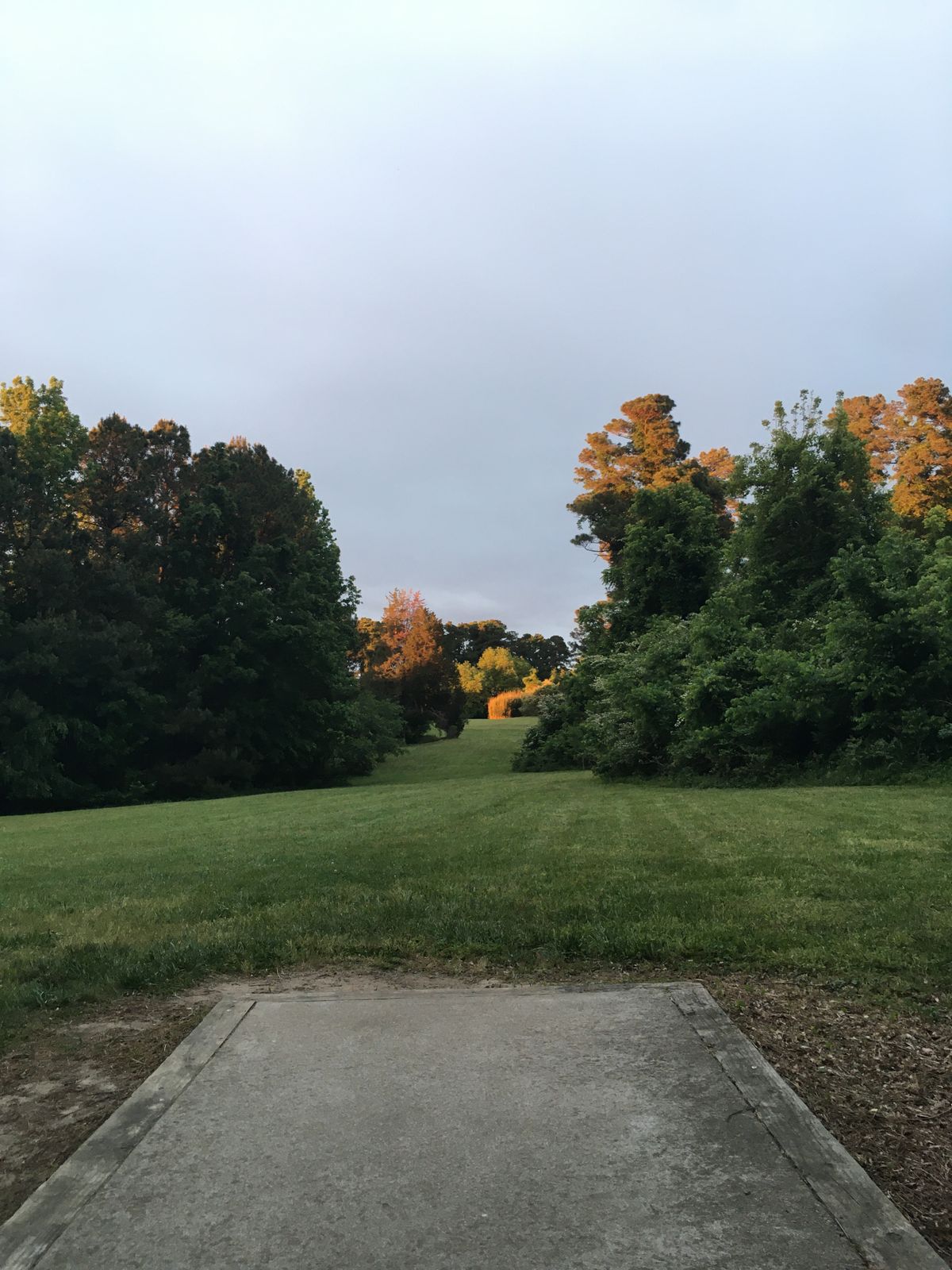 Pat 4, Hole 7