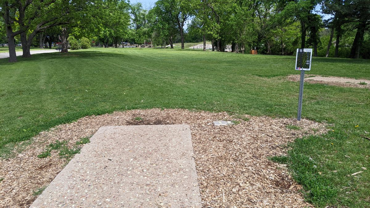 Tee #11