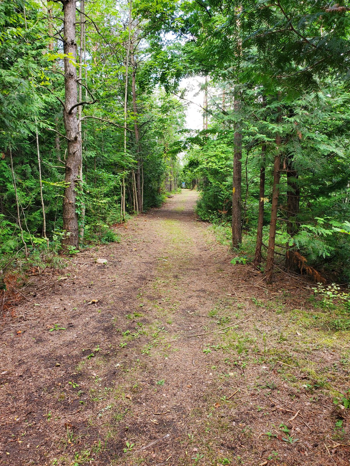 Hole 9 basket