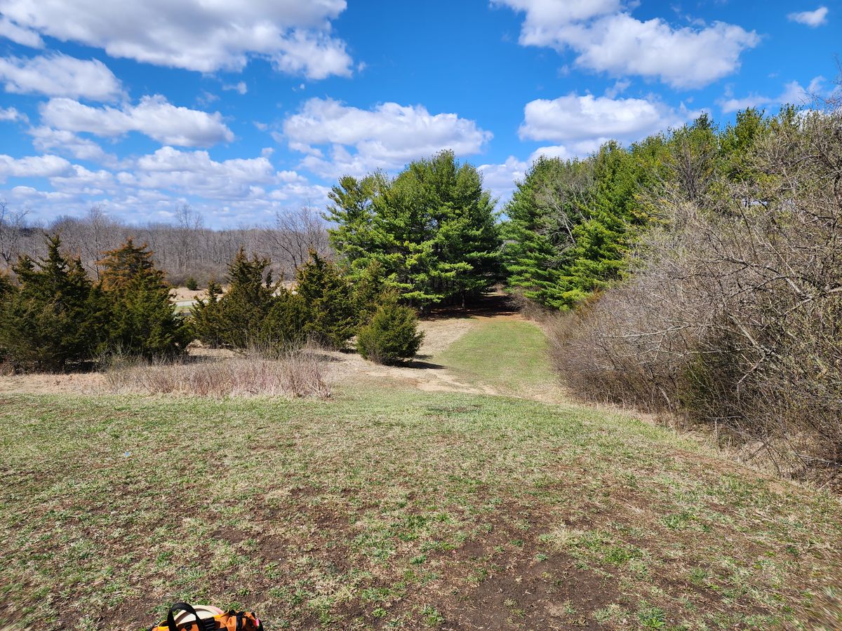 Hole 7