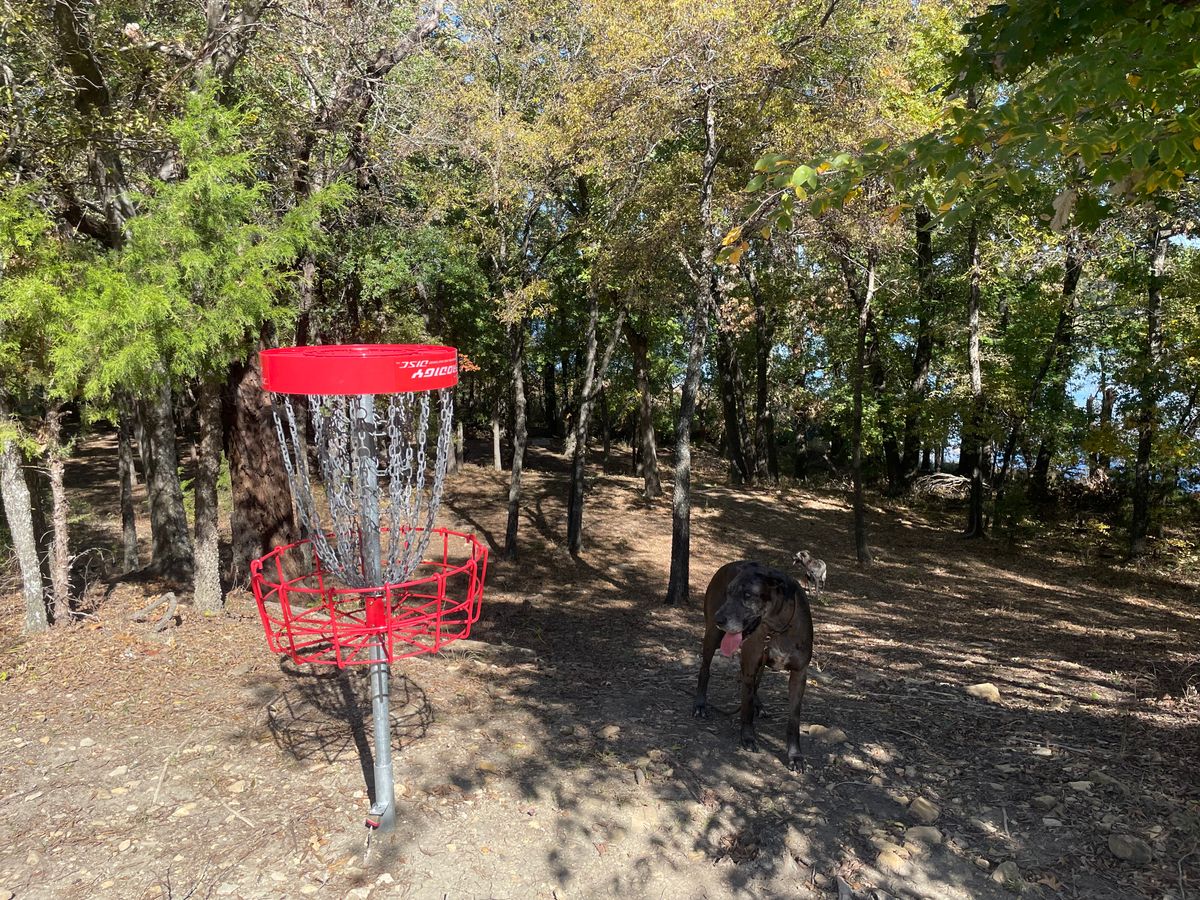 Hole 13 looking back at tee