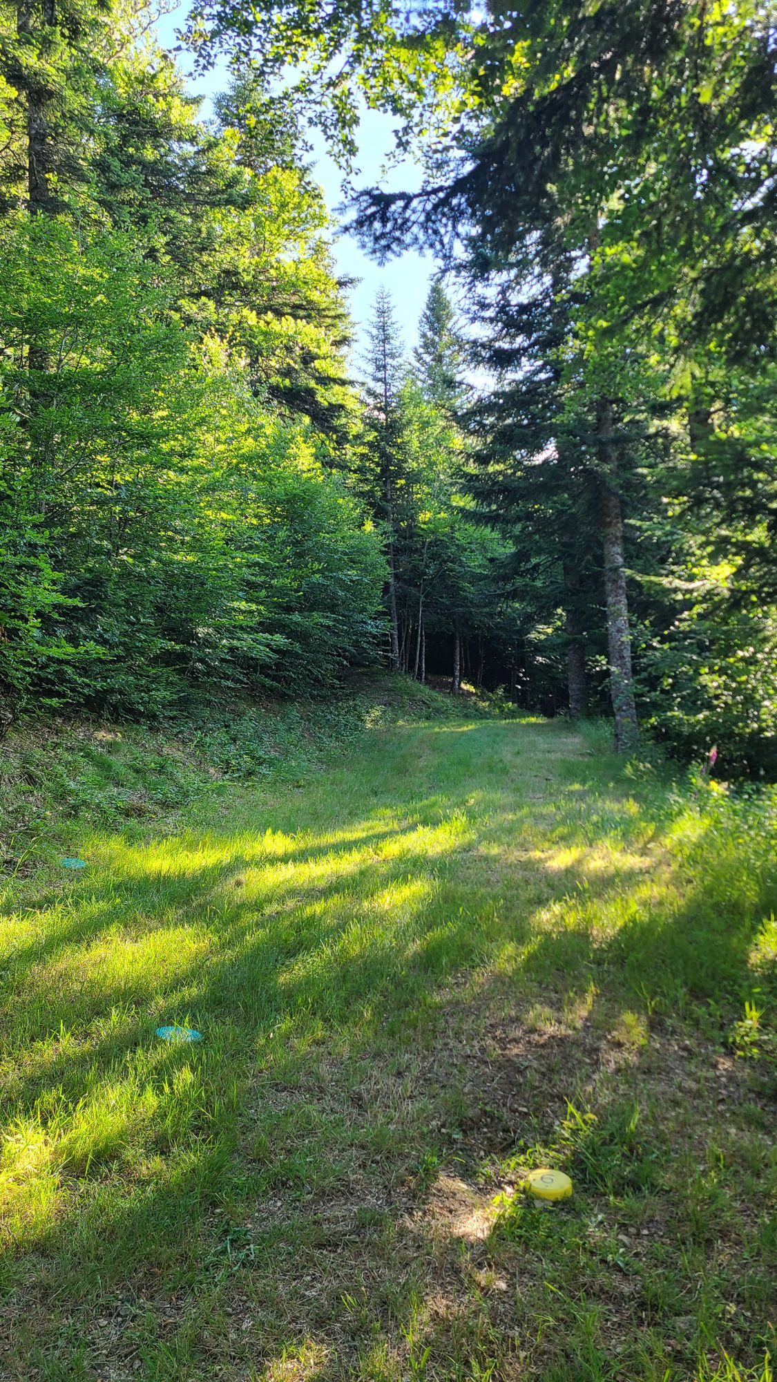6 Débutant