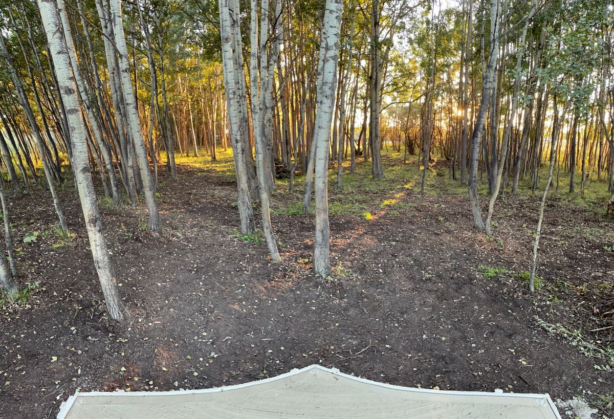 Hole 6 Dusk
