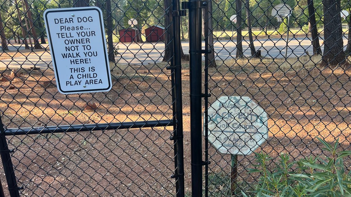 The entrance. Seems weird heading into a school gate! But there is a welcome sign right there.