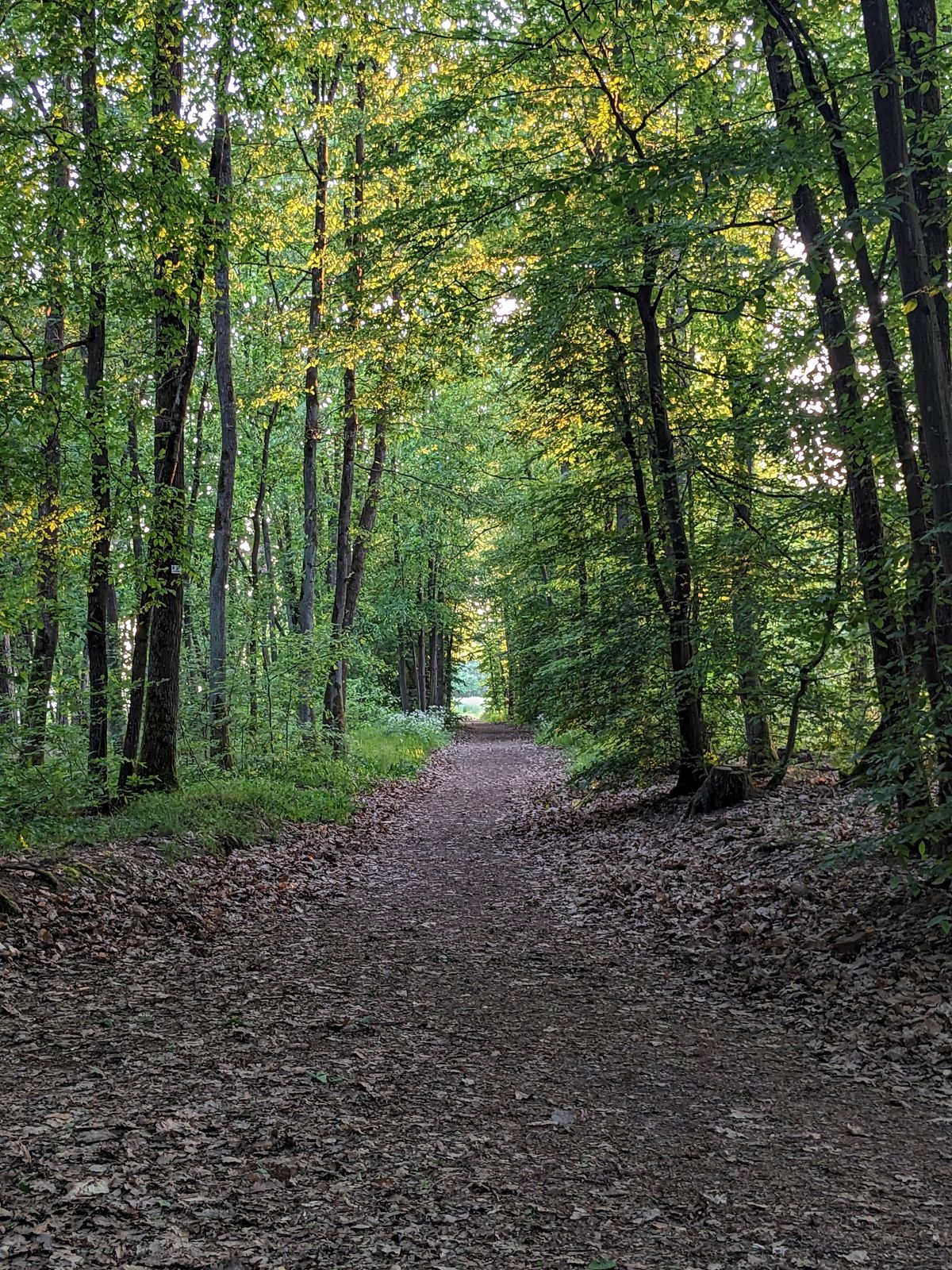Hole 15