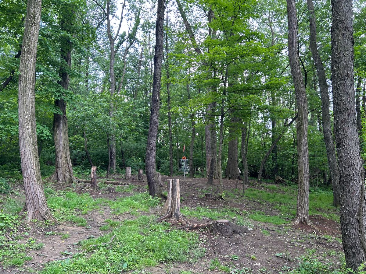 Hole 4 basket