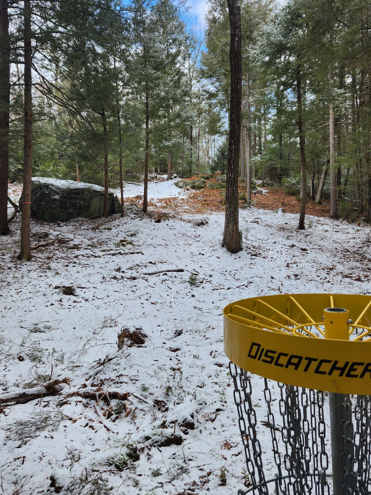 15 looking uphill from basket
