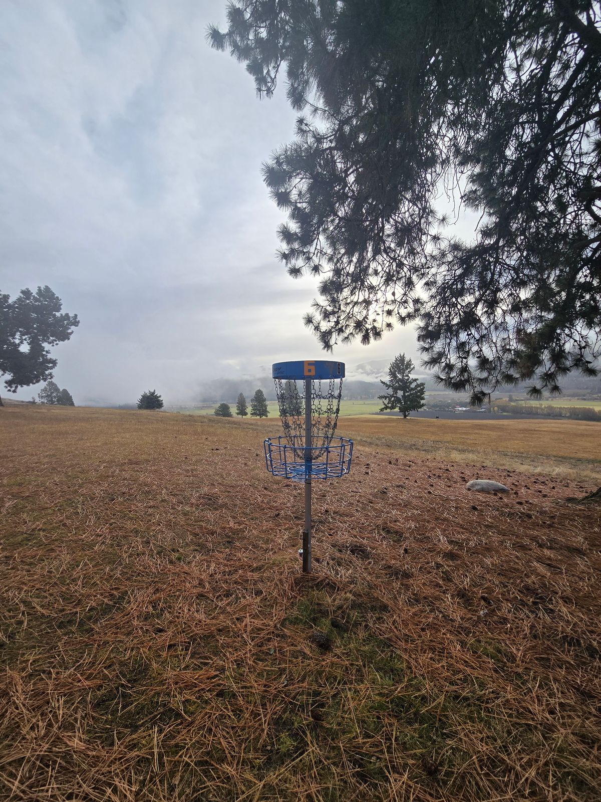 Basket 6. Fog clearing