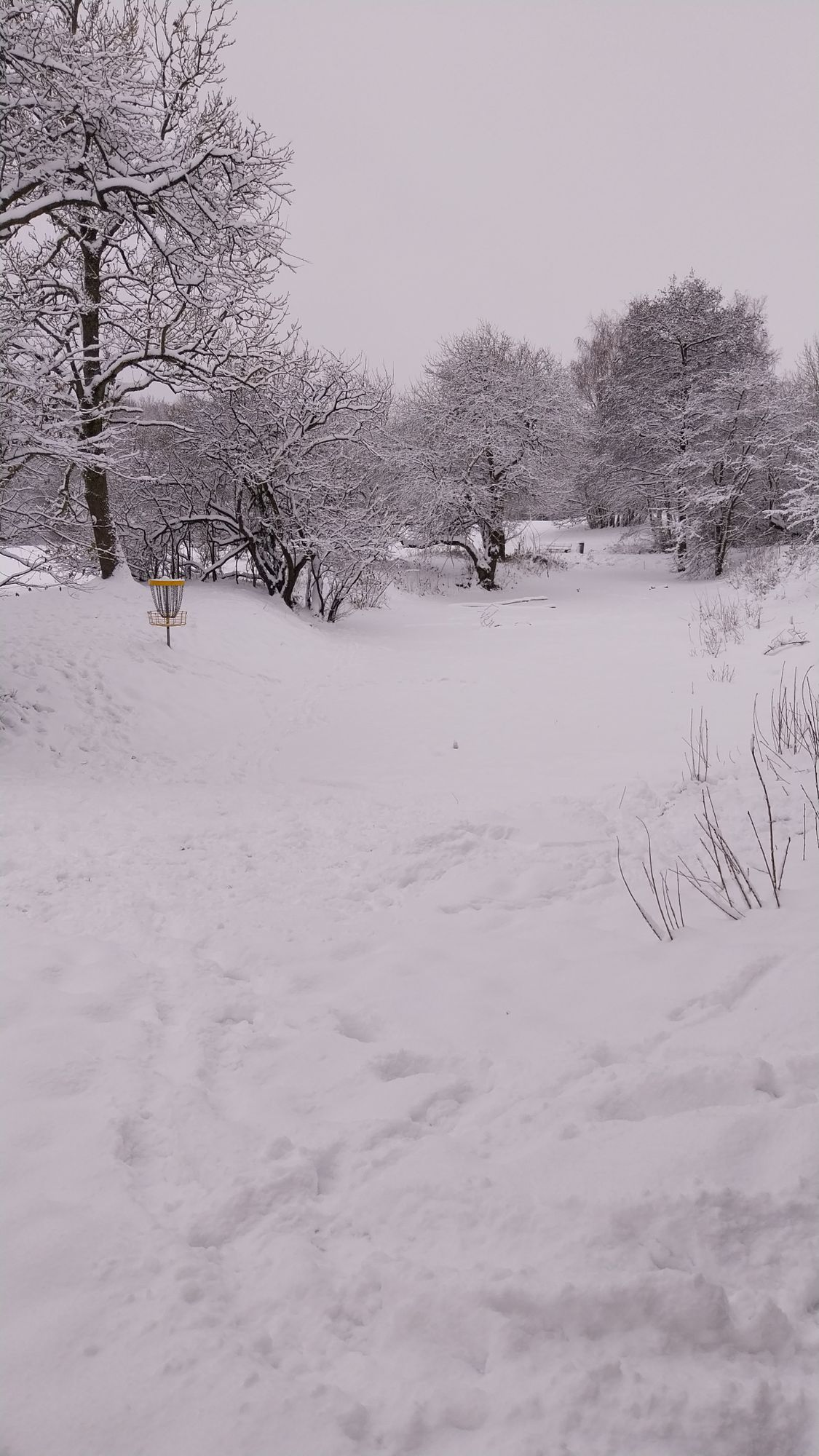 Hole 5 covered in snow.