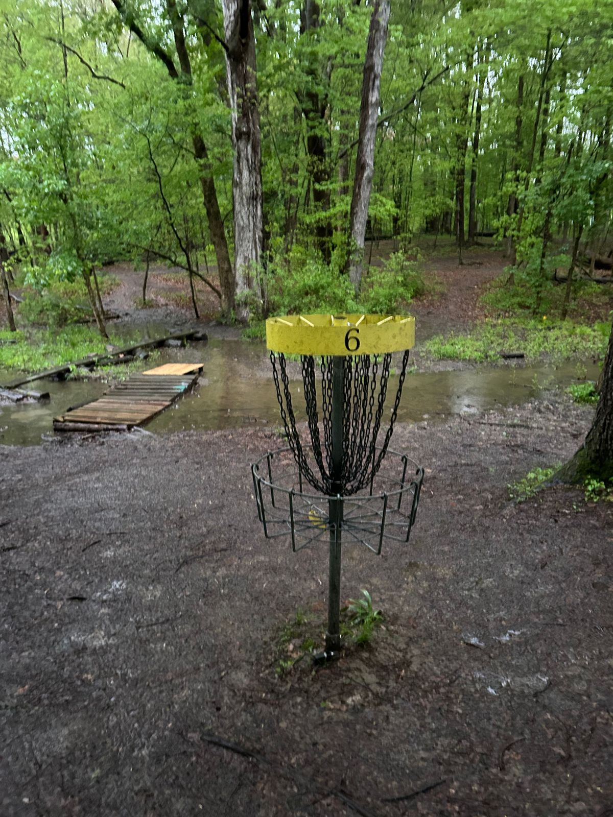 Hole 6 in rain