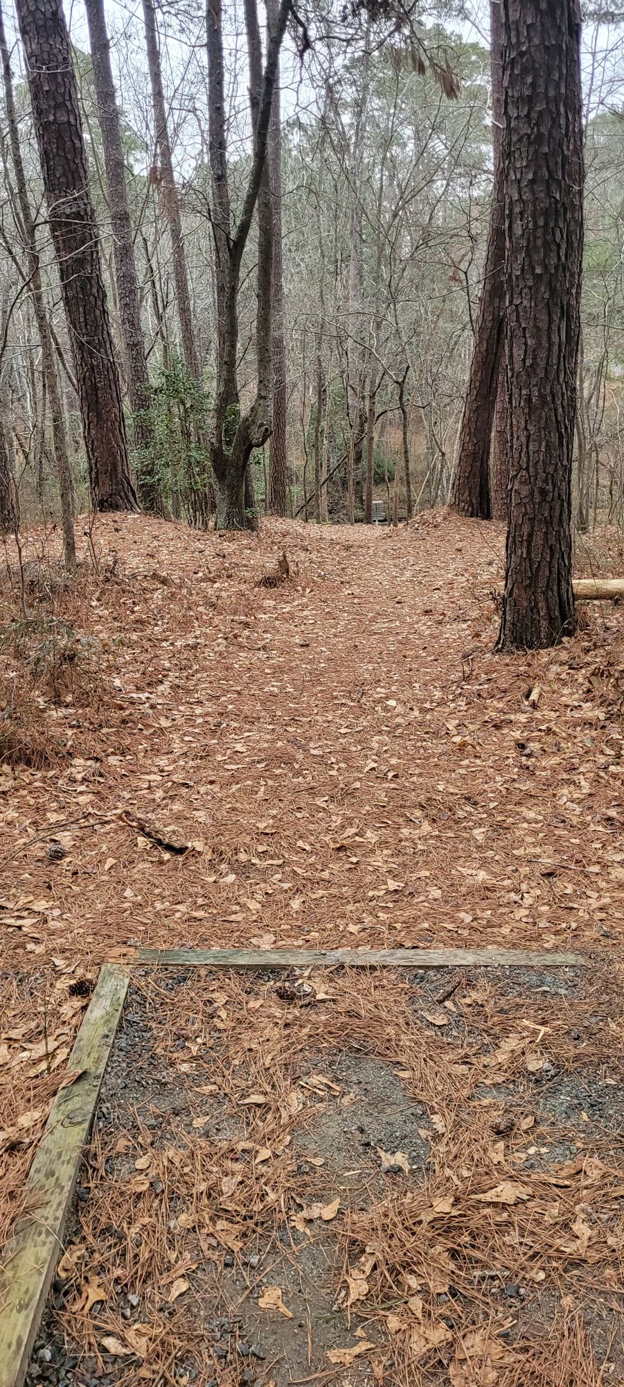 Orange Tee, Hole 8