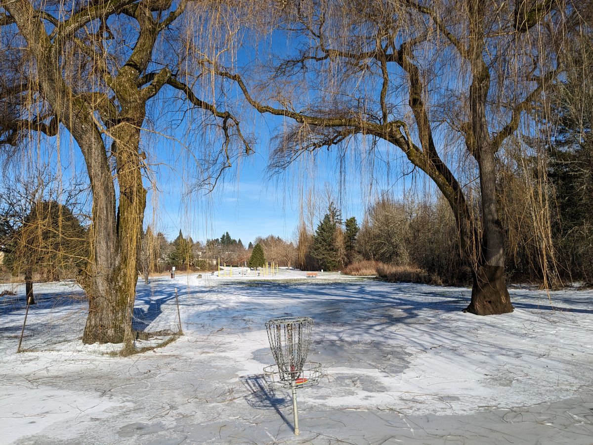 Hole 4 - Ice storm froze the puddle