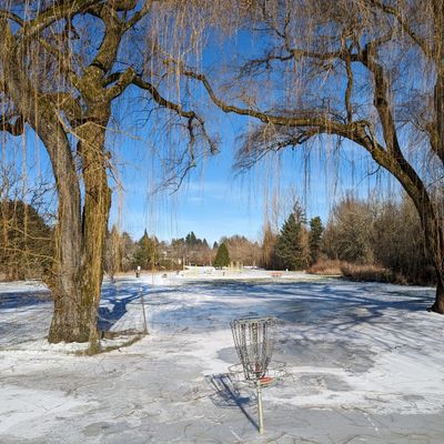 Hole 4 - Ice storm froze the puddle