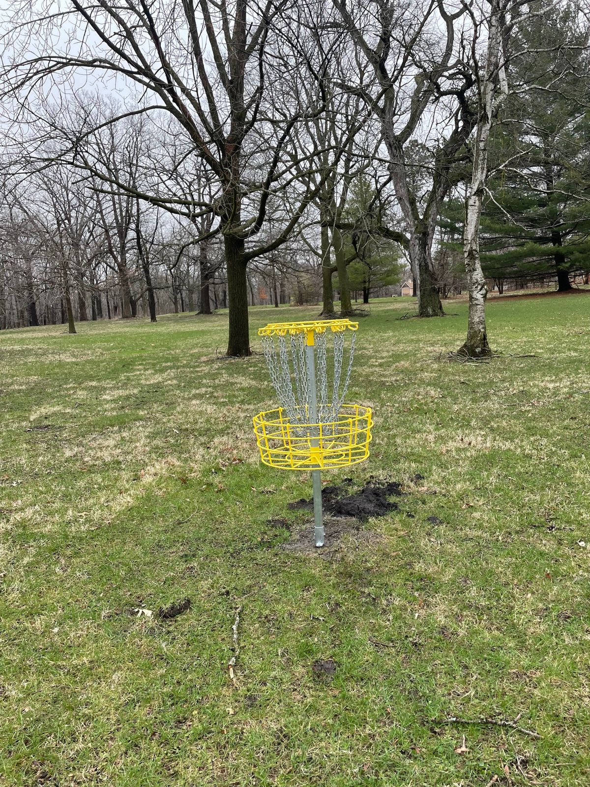 Basket on new hole 12.