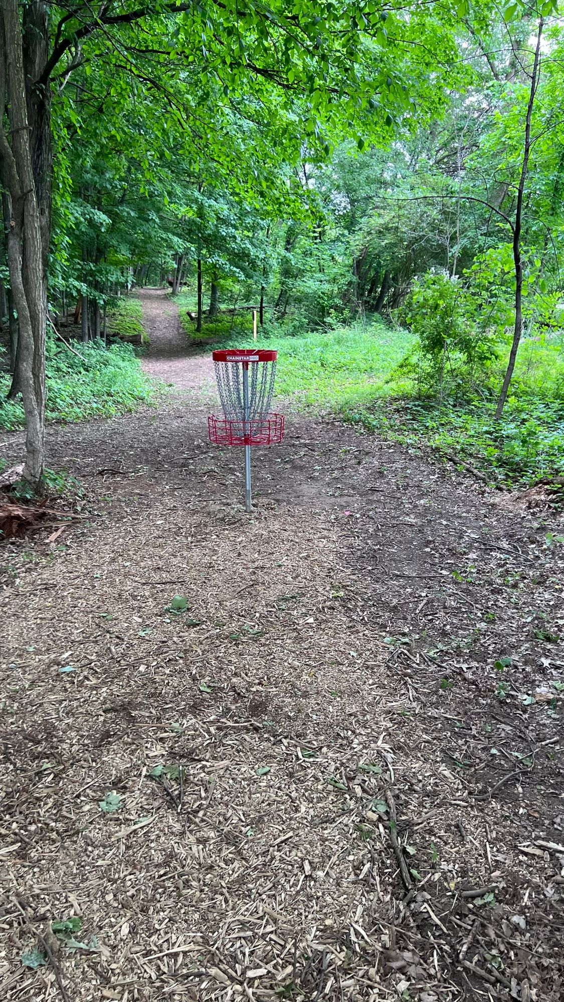 Basket on 13
