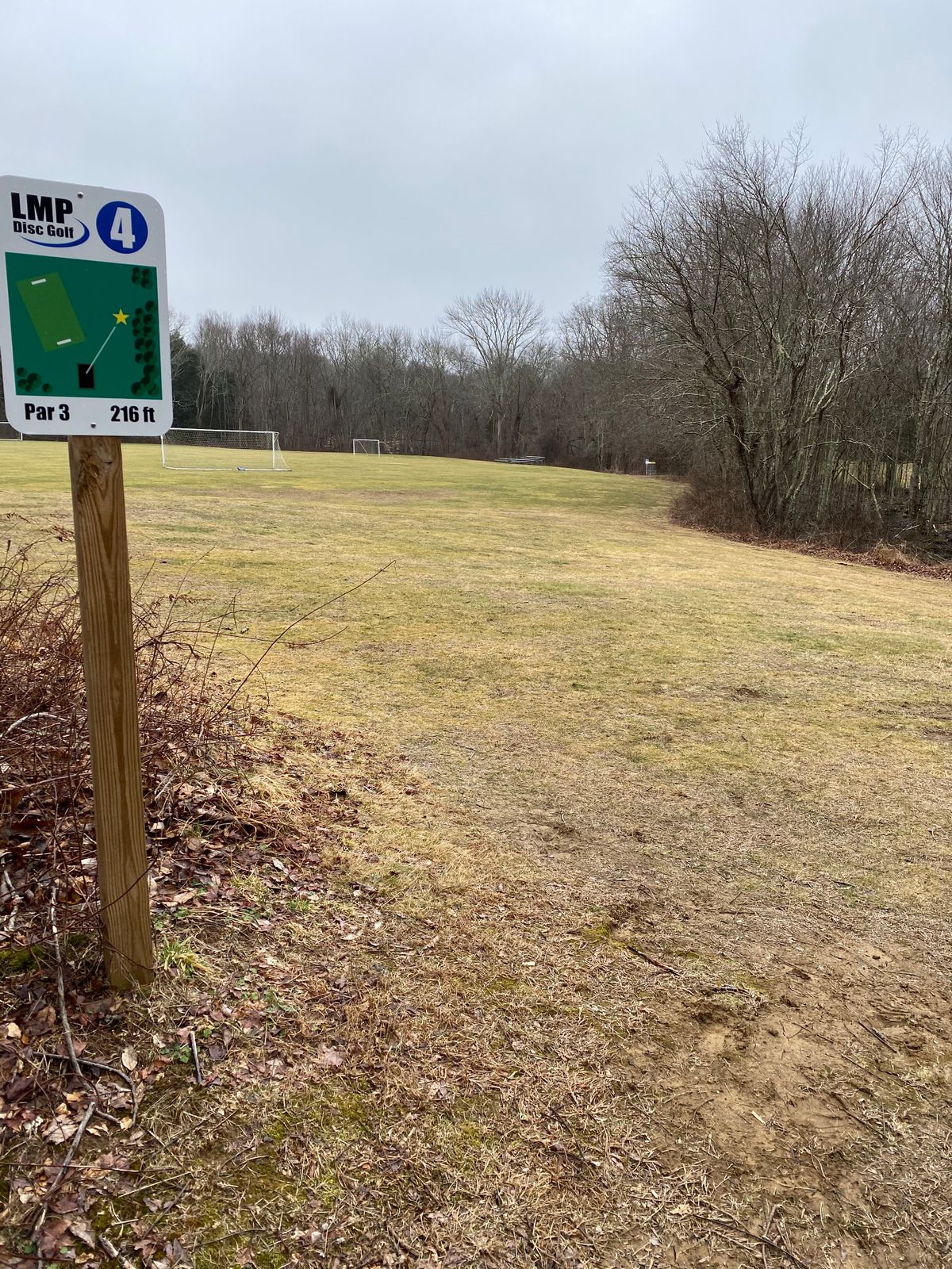 Hole 4 tee