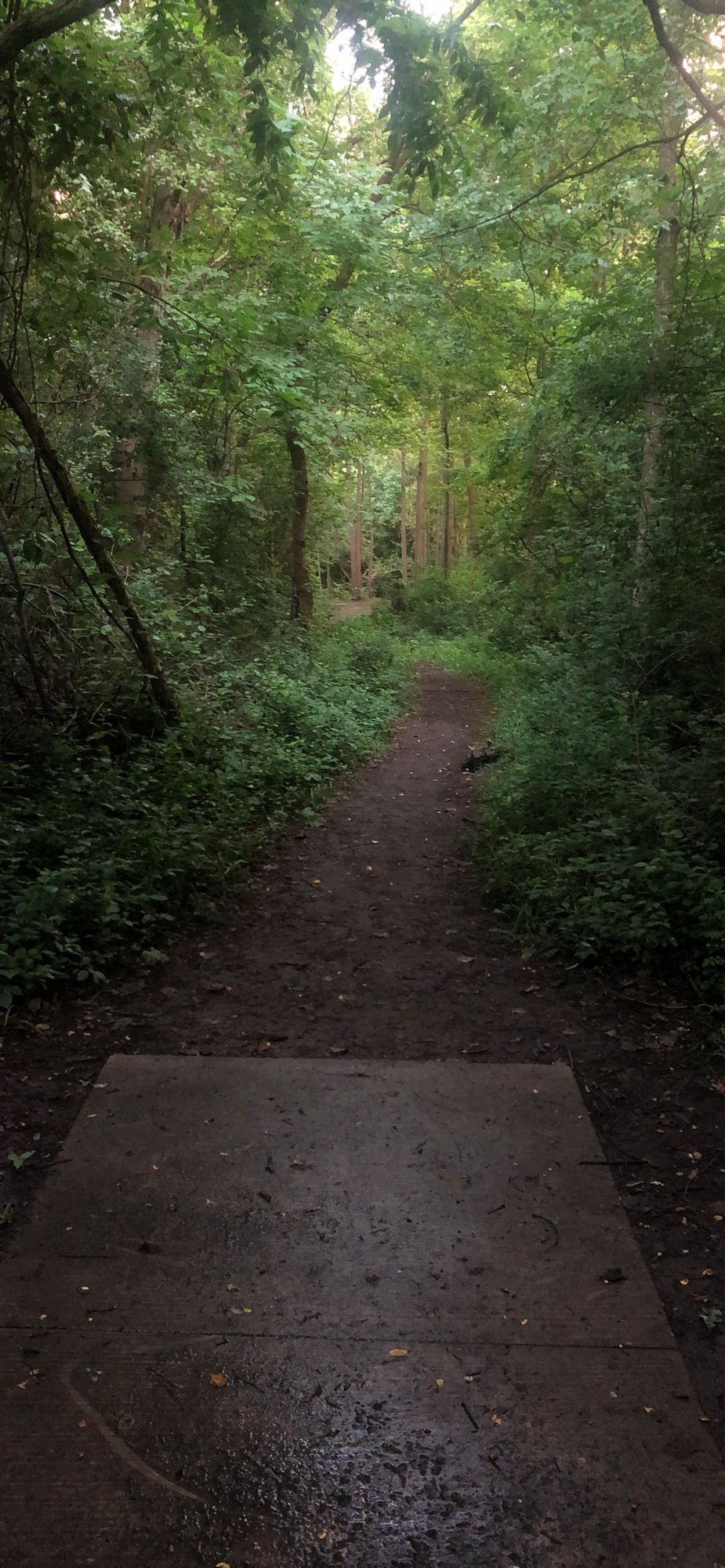 Hole 9 (Longs)