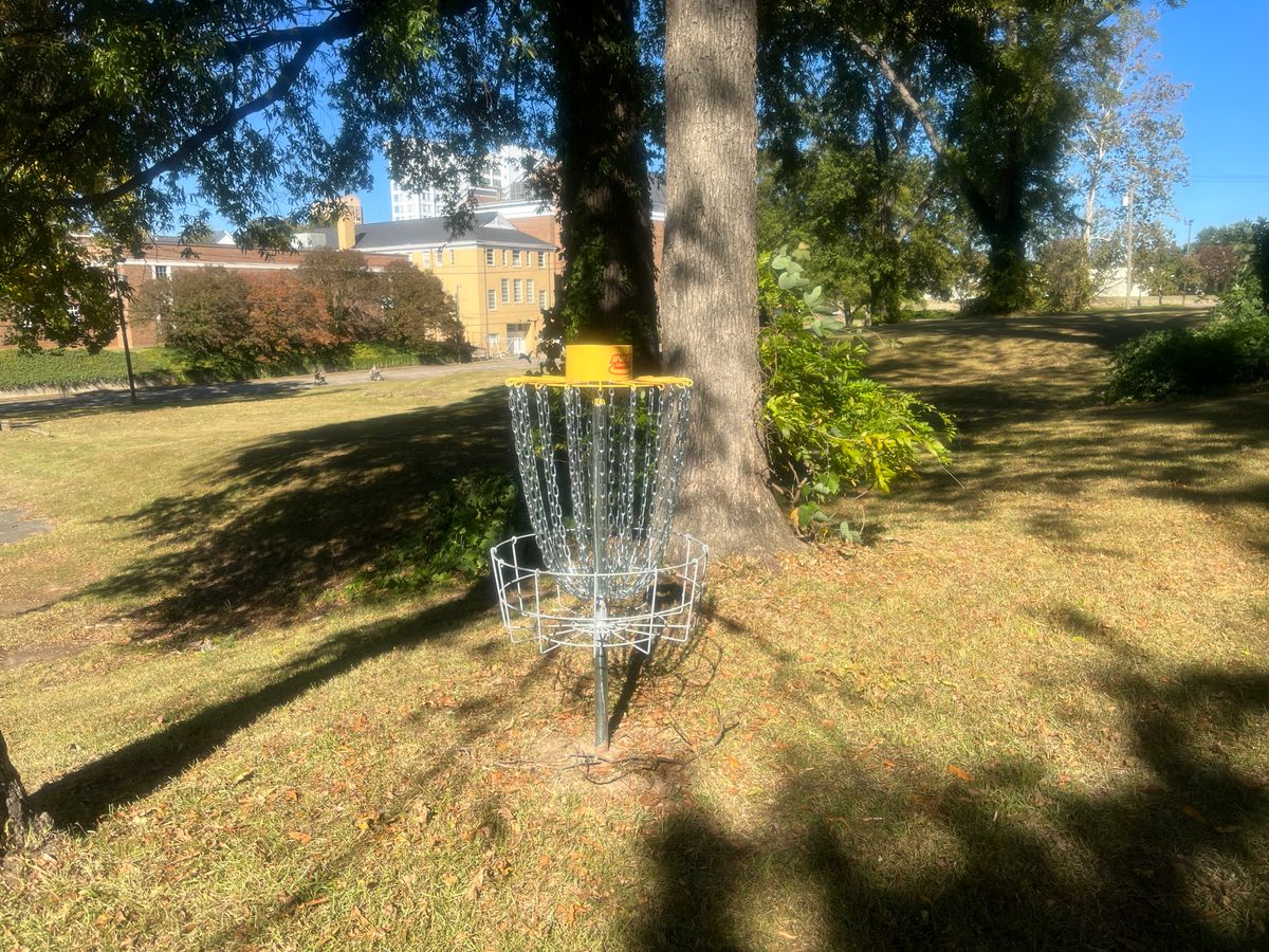 View of a basket (none are numbered)