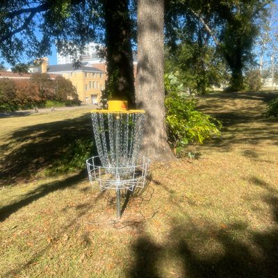 View of a basket (none are numbered)