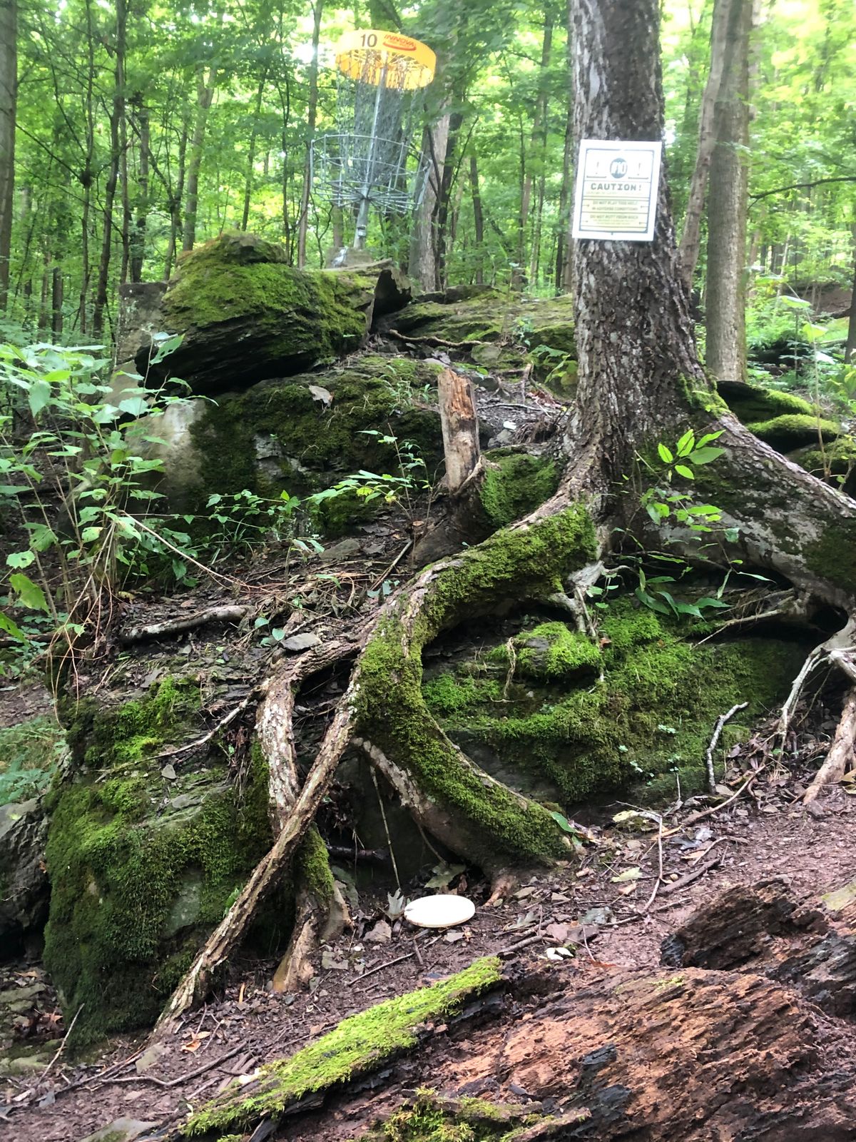 Hole 10