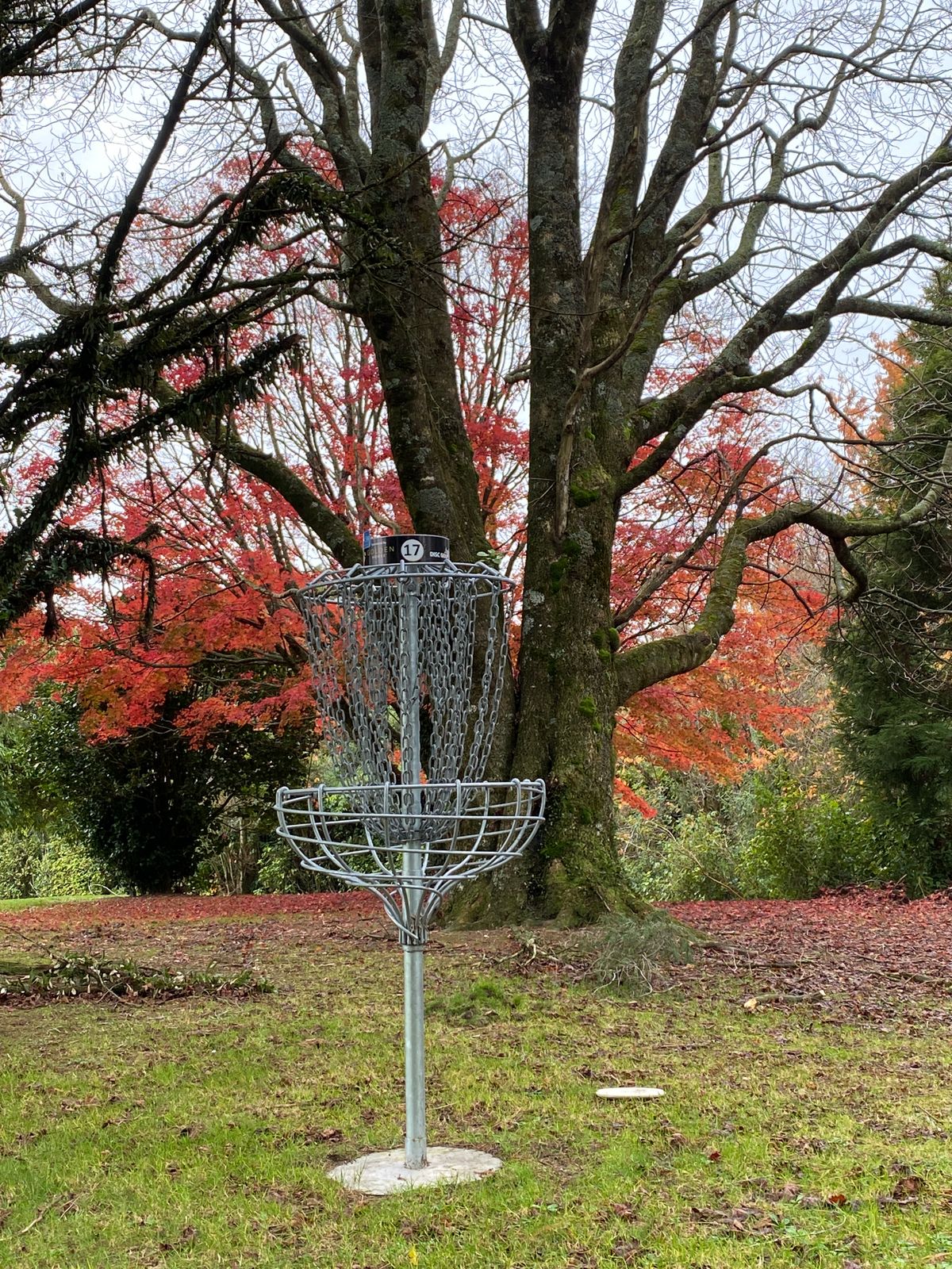 Hole 17 in Autumn