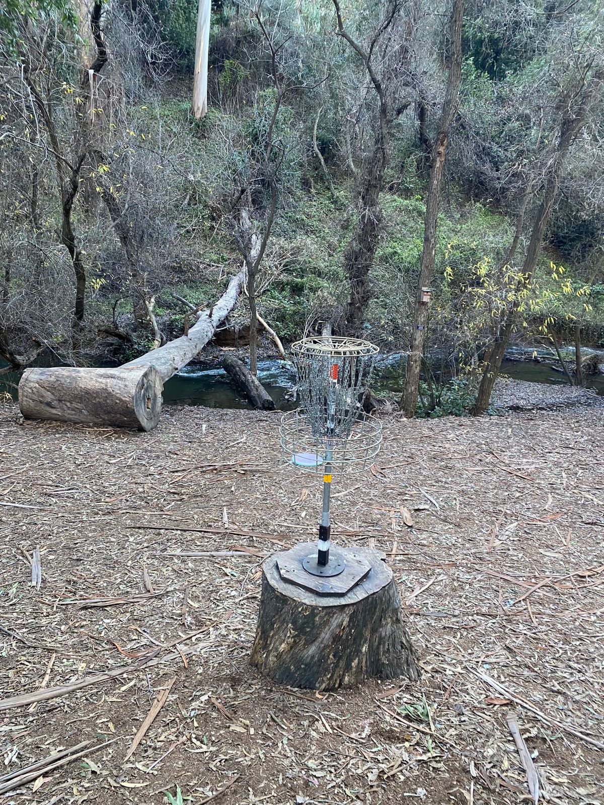 Beautiful raised basket by the creek. Don’t be left on approach or your swimming.