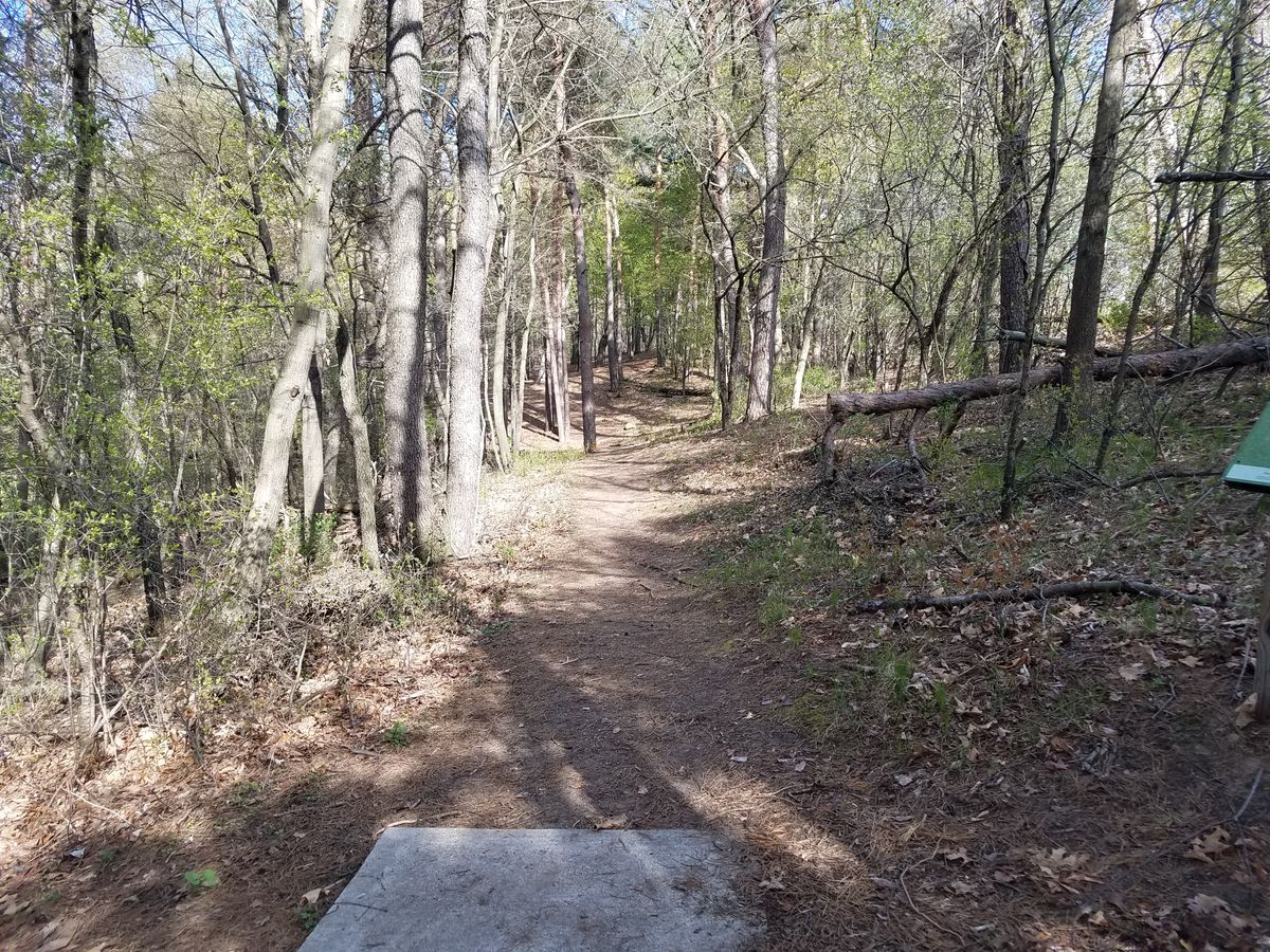 Hole 3 fairway from long tee