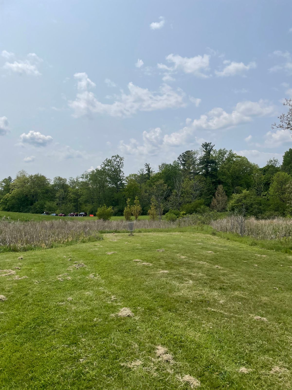 Hole 8, approaching green