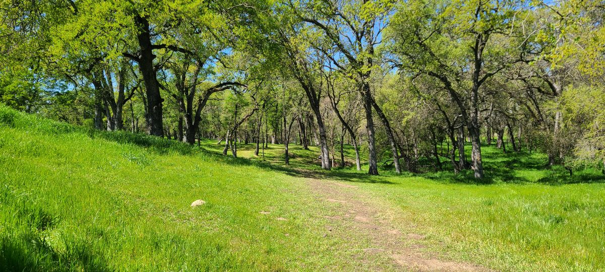 The grass will all be brown soon