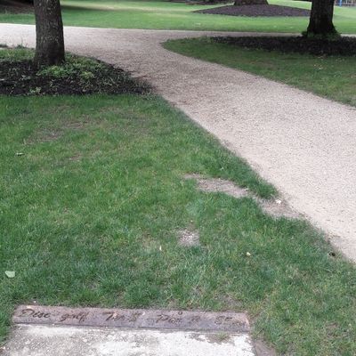 Hole 8
The basket is also used for holes 3 and 11.
