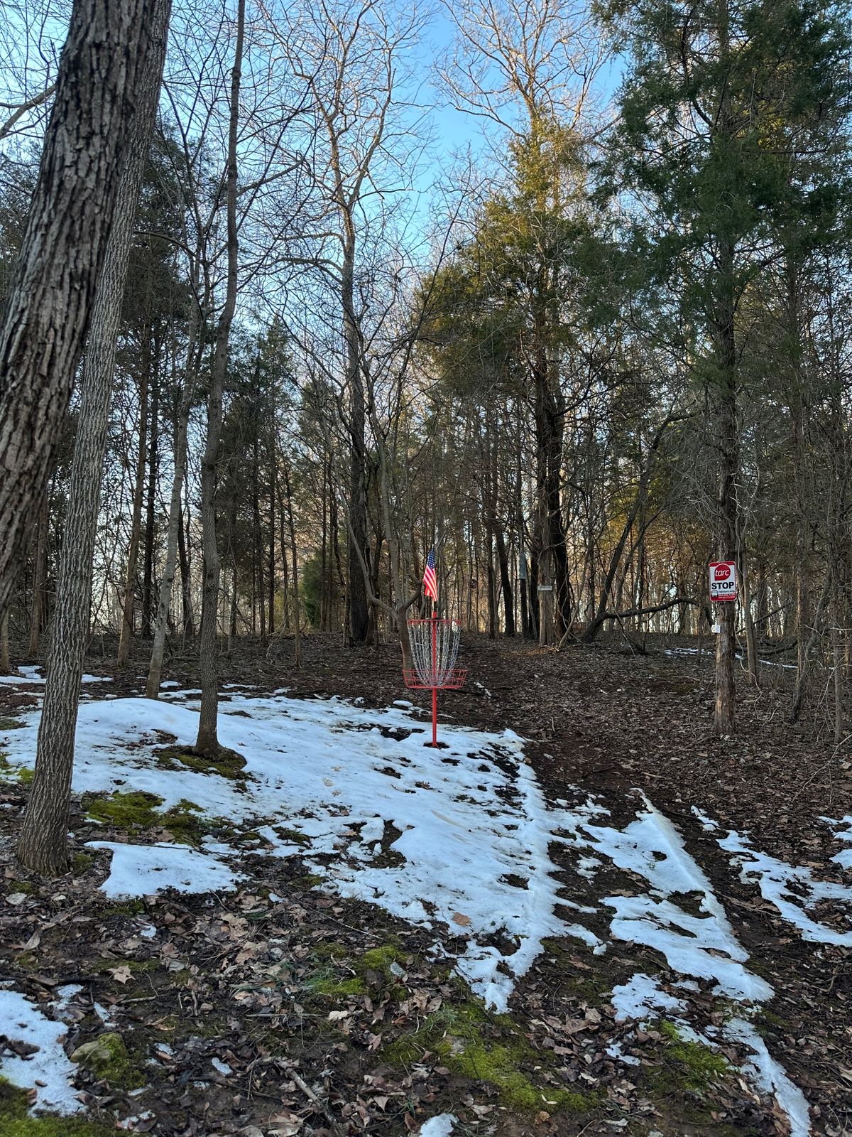Hole 10 basket