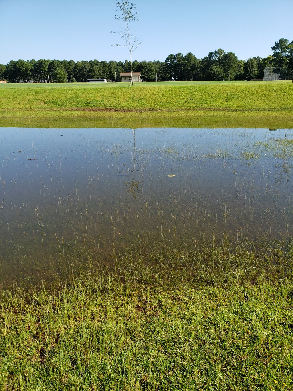 Some discs don't make it over the pond!