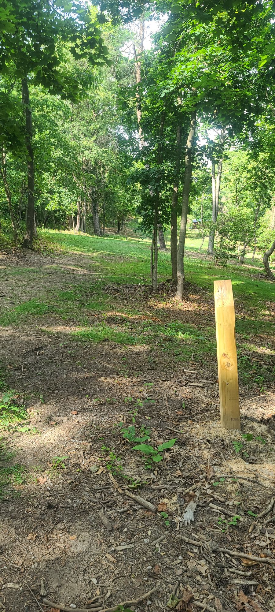 Hole 4