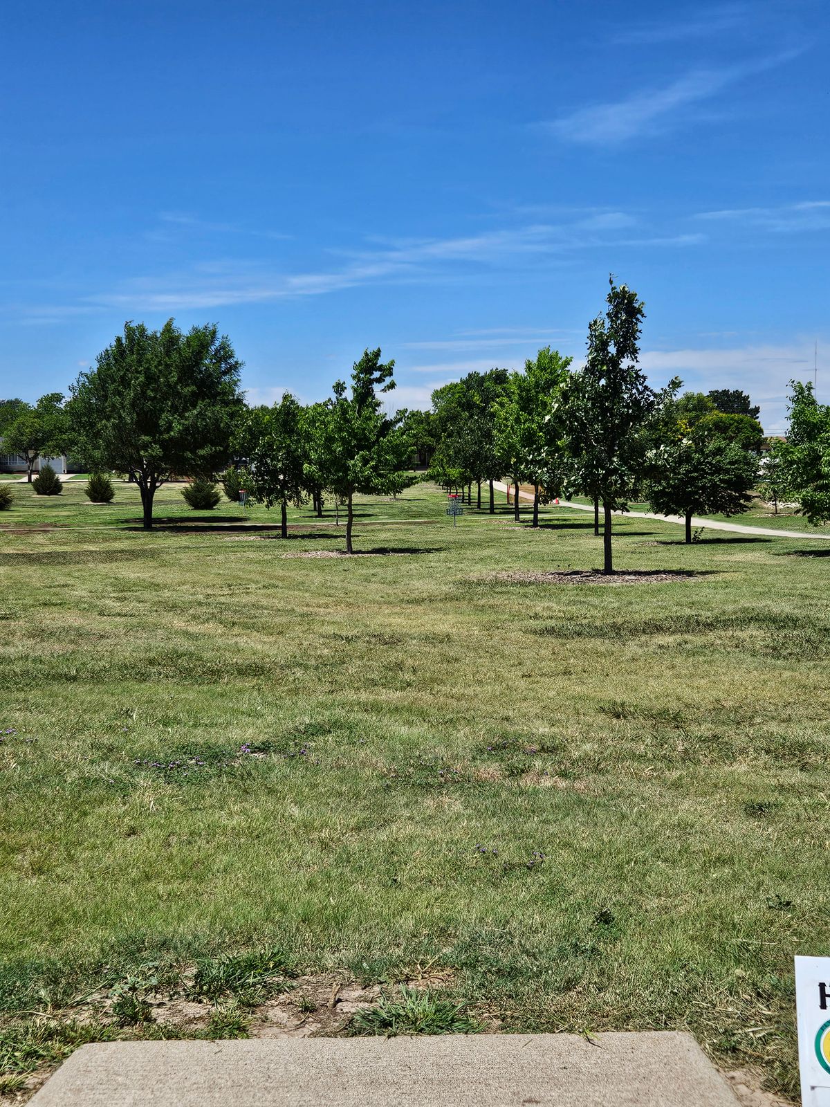 Hole 4 - Tee