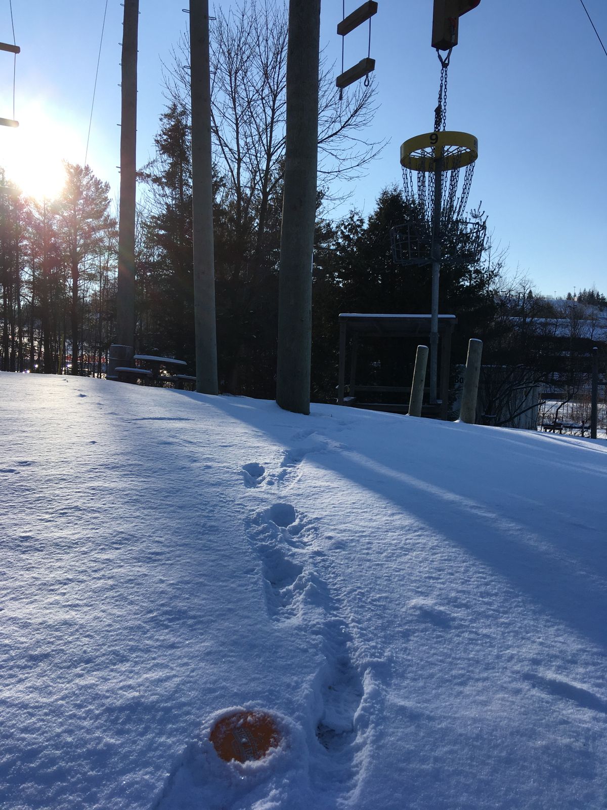 Winter 9&18 Basket