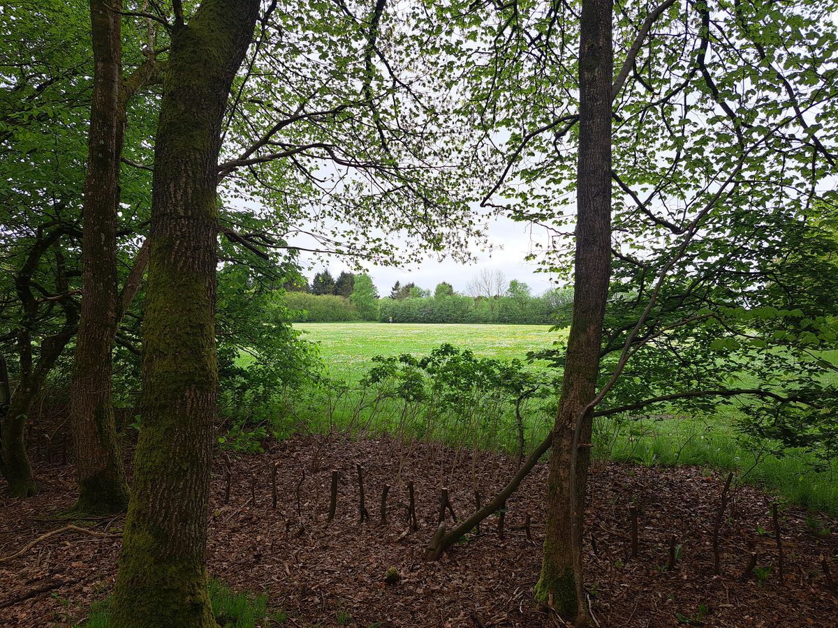 Hole 3 from tee.