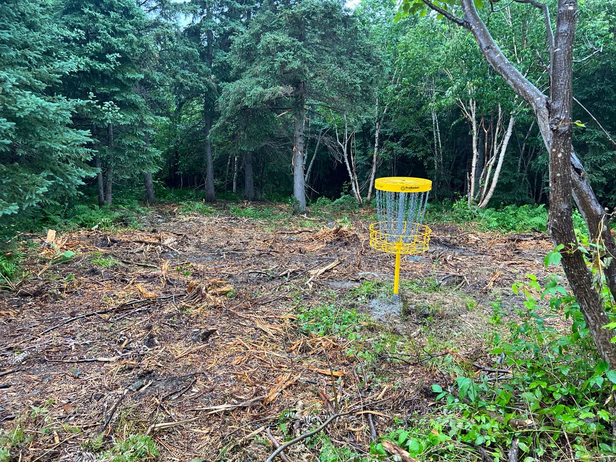 Hole 14 Basket