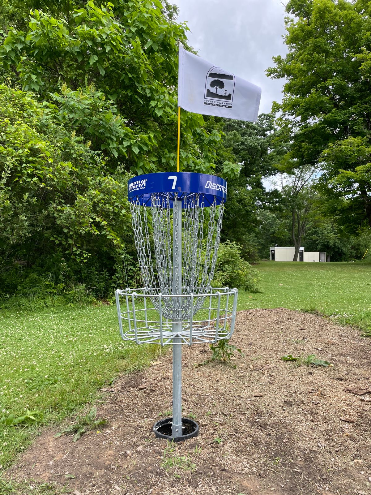 Hole 7 Basket