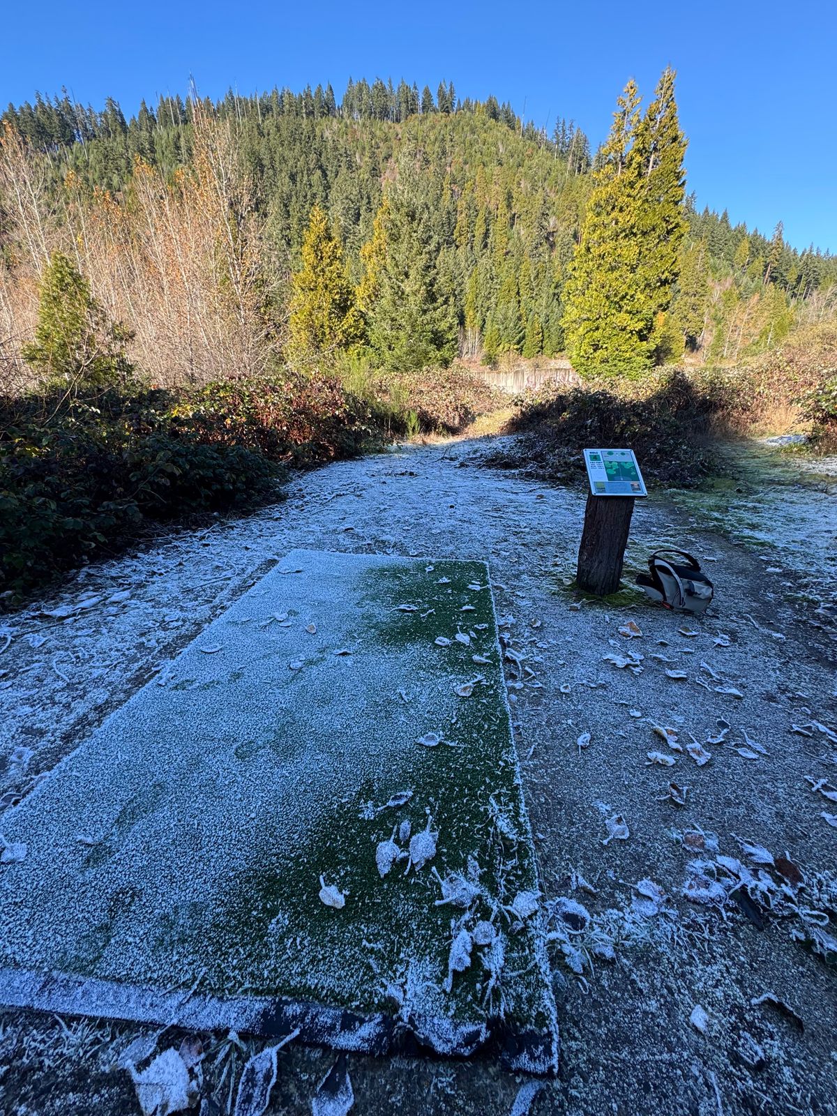 Great frosty day throwing disk!