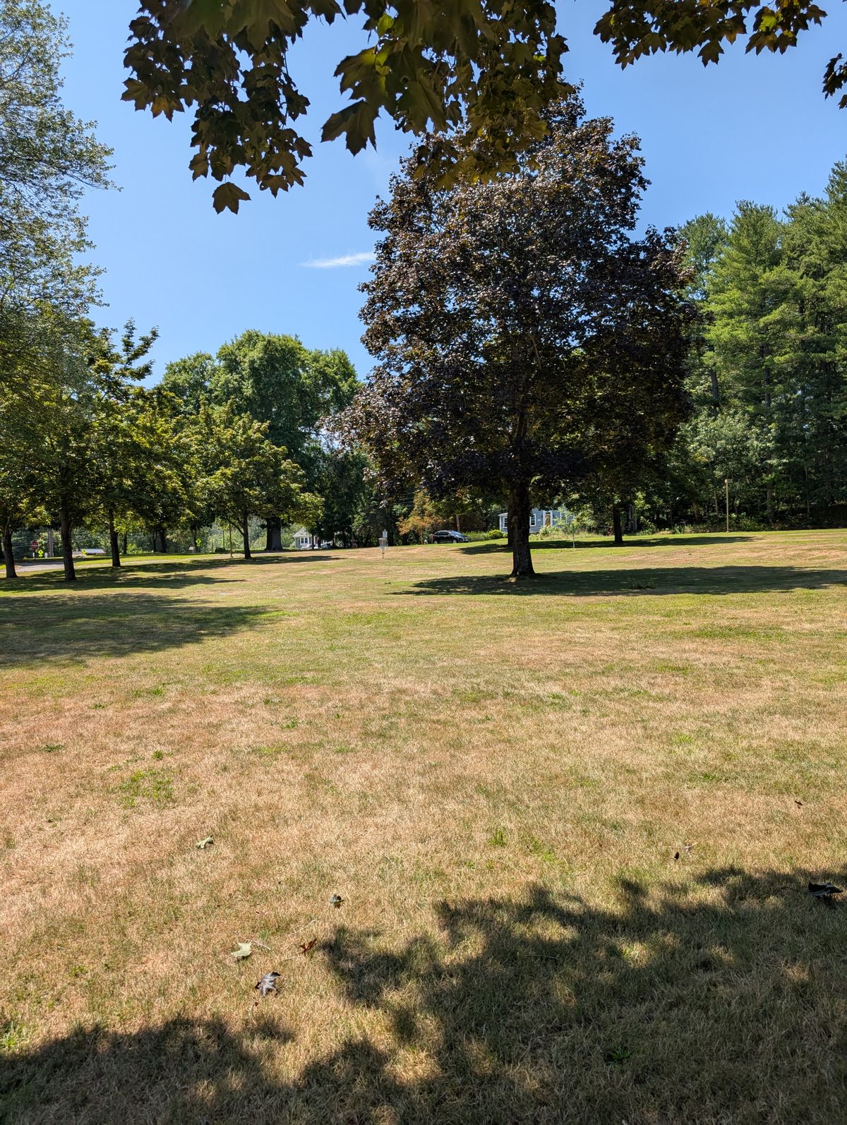 From hole 8's fairway