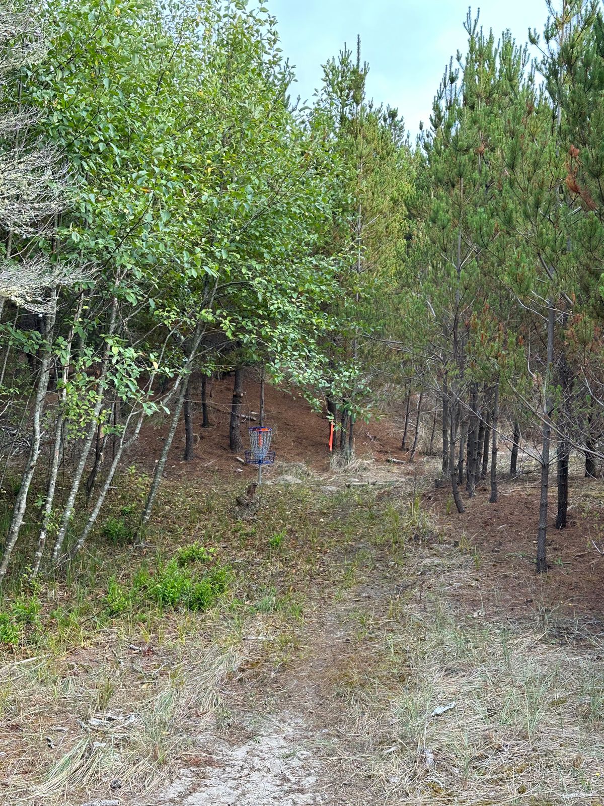 Hole 2 basket