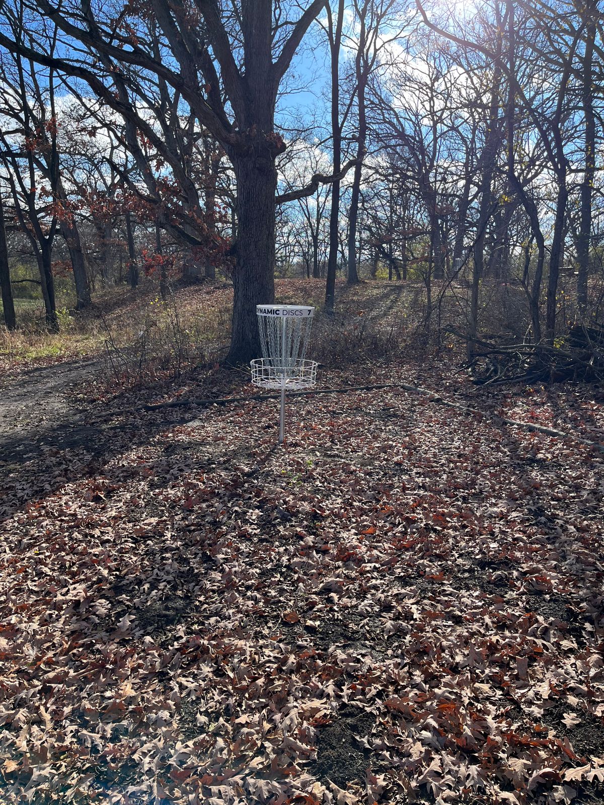 Hole 7 Basket