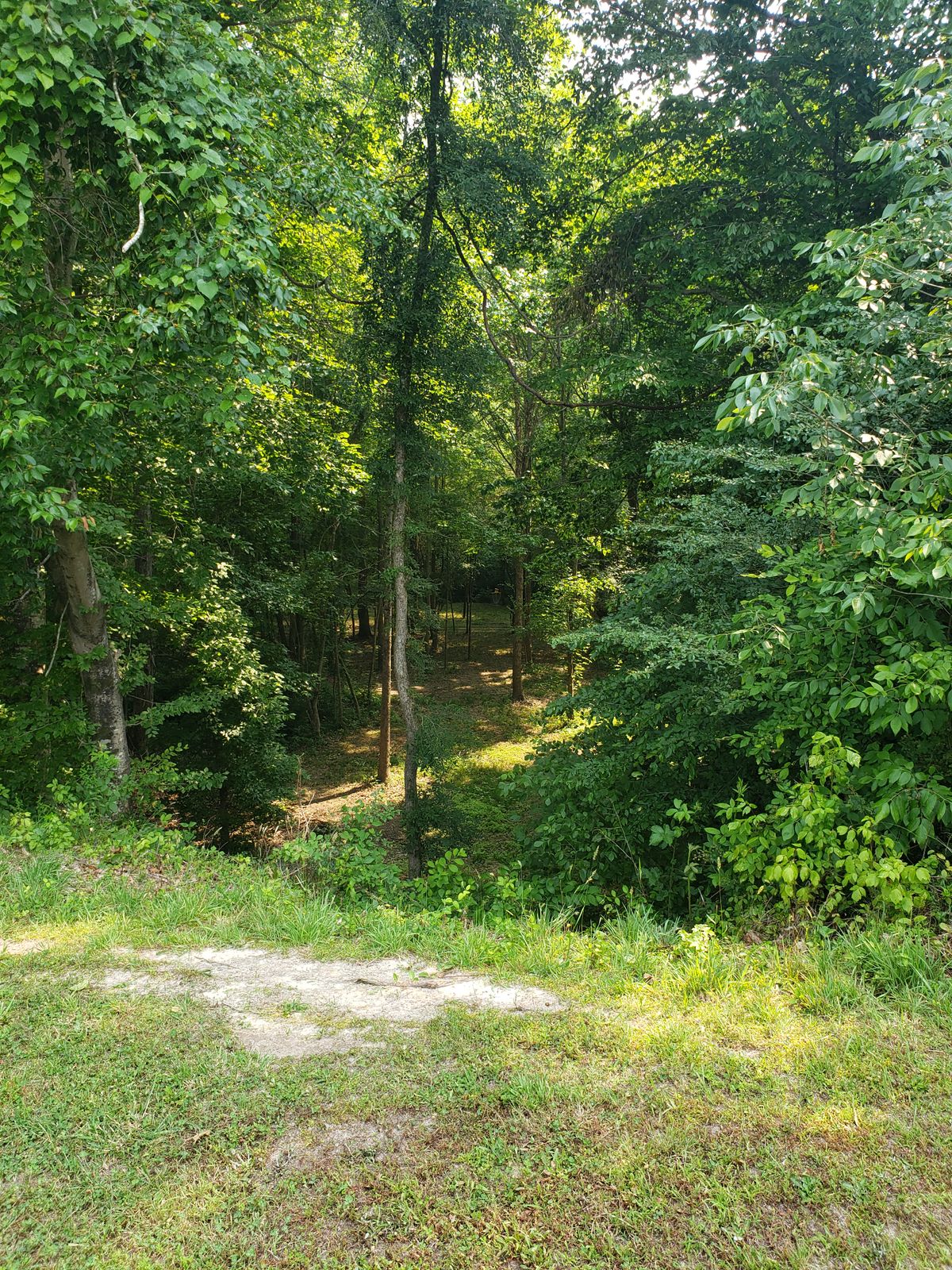 Hole 13 from the tee pad. Down hill about 15 to 18ft with the basket straight ahead. A creek playing OB directly behind.