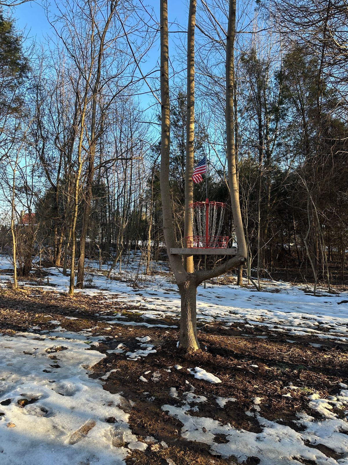 Hole 3 basket