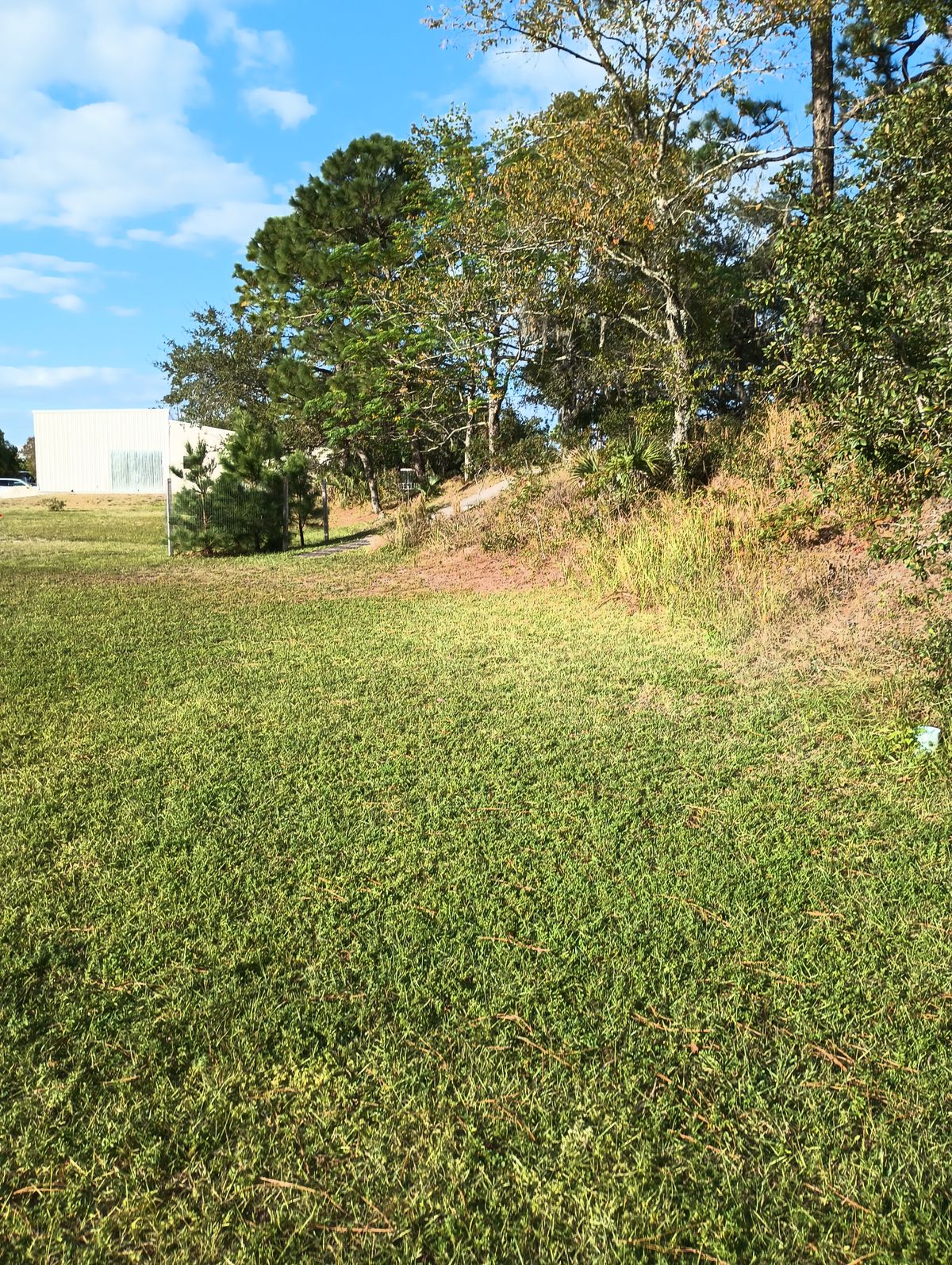 Hole 11 veteran basket par 4