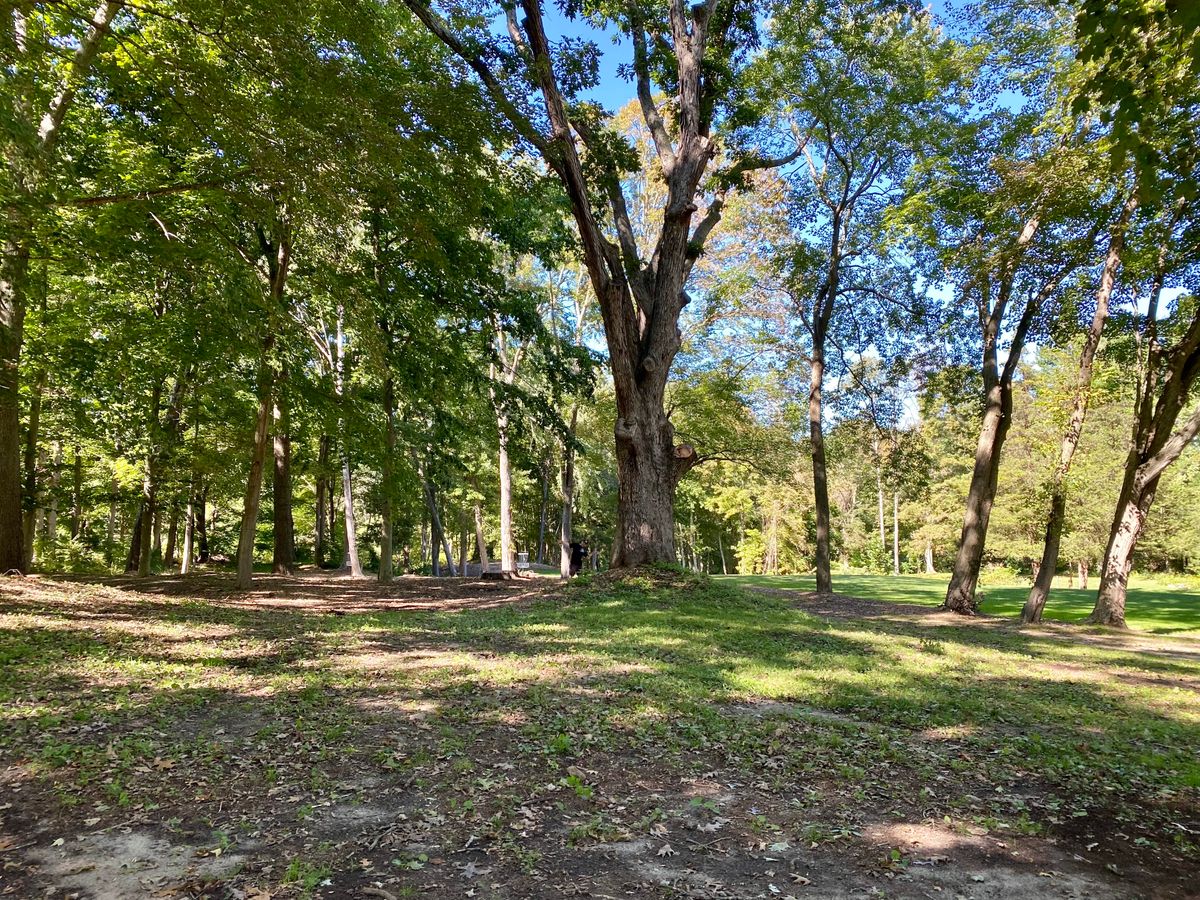 Hole 8