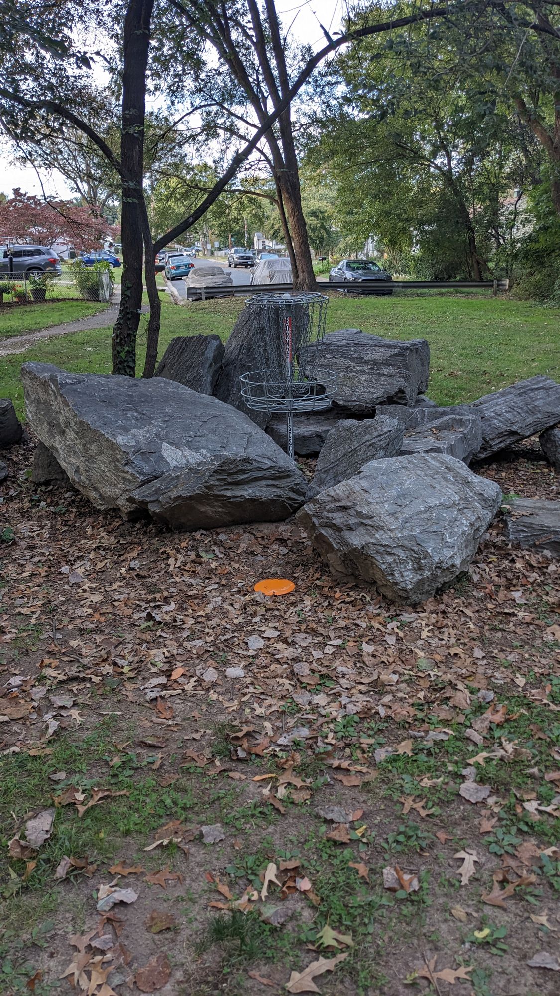 Hole 10 short basket
