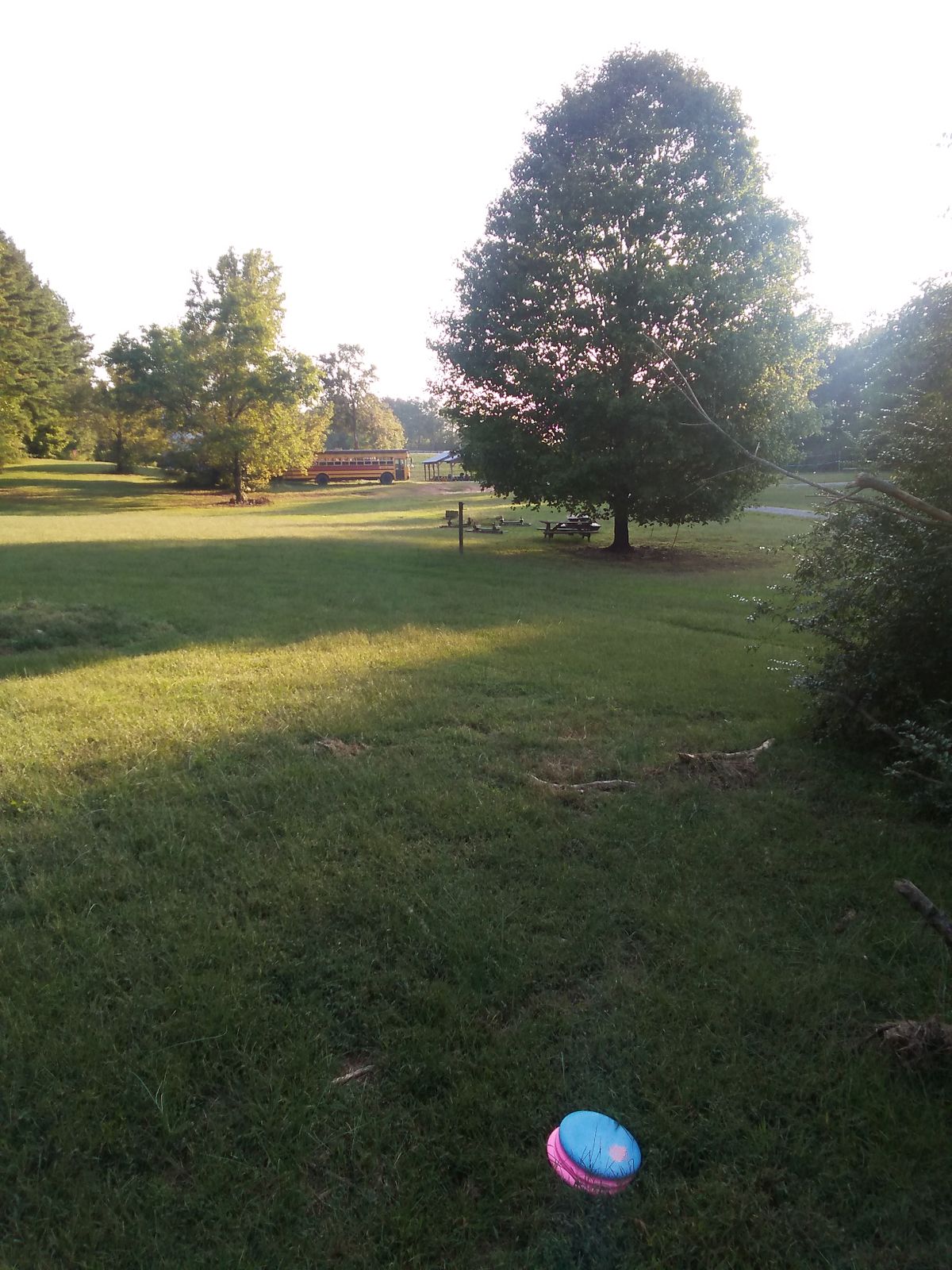Hole 6 teepad
